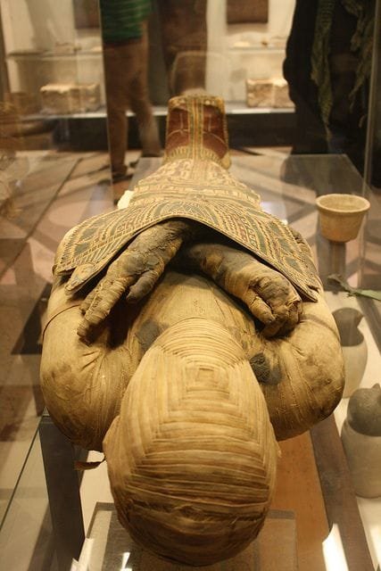 Mummies in Museum, captured with Egypt Tour Magic.