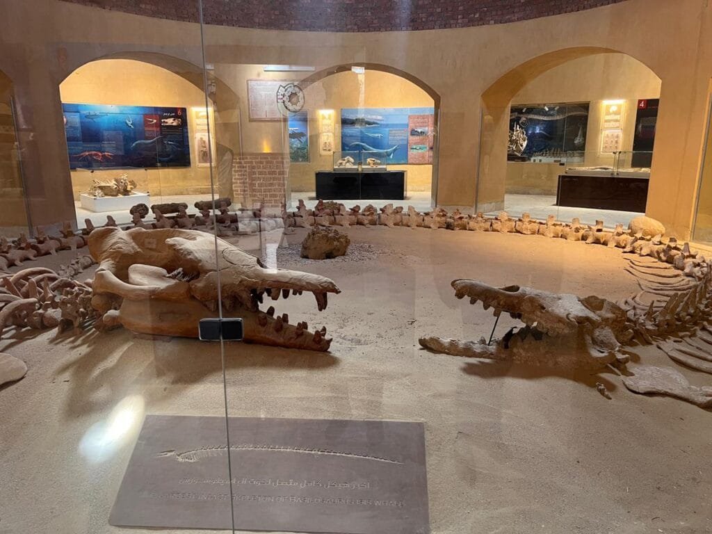 Trip to el fayoum Oasis from cairo with egypt tour magic