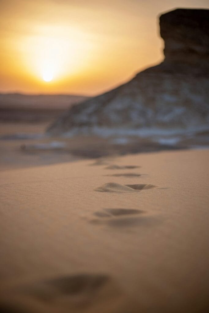 Bahariya Oasis Desert, captured with Egypt Tour Magic.