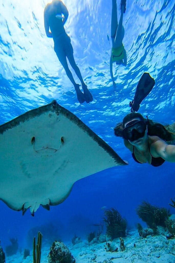 paradise island with egypt tour magic