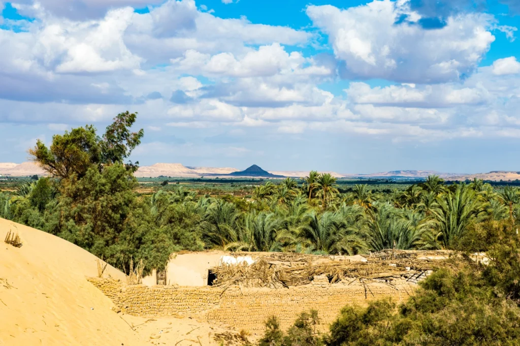A Glimpse into Bahariya’s History Ancient Roots in the Desert