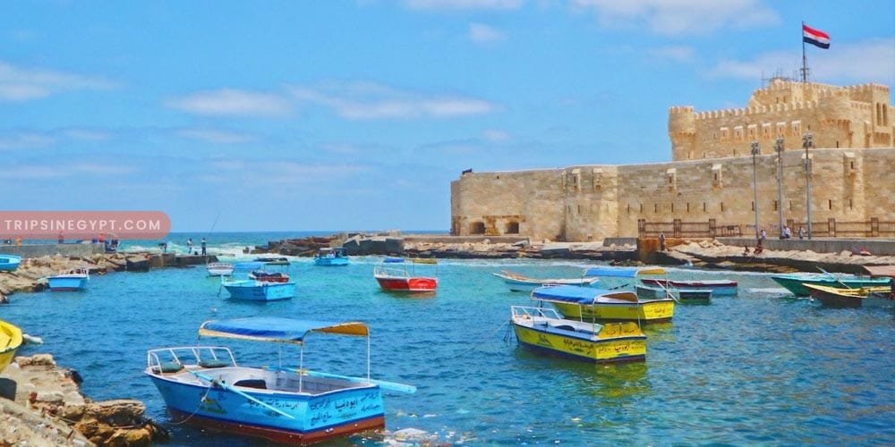 Best Time to Visit Alexandria - Egypt tour magic
