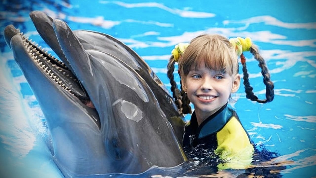 Dolphin - Egypt tour magic