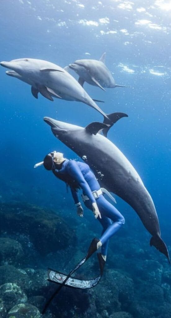 Dolphin House - Egypt tour magic