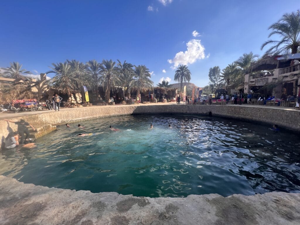 A serene view of Siwa Oasis in Egypt, featuring lush date palms, clear springs, and golden sand dunes under a bright blue sky.