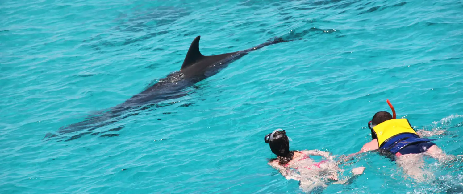 Sailing to Dolphin House - Egypt tour magic