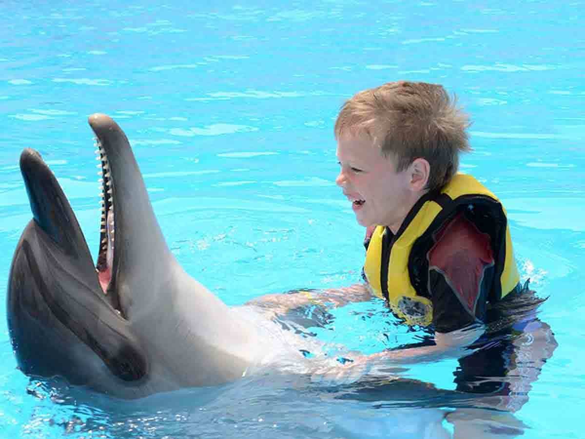 Swim with Dolphins - Egypt tour magic