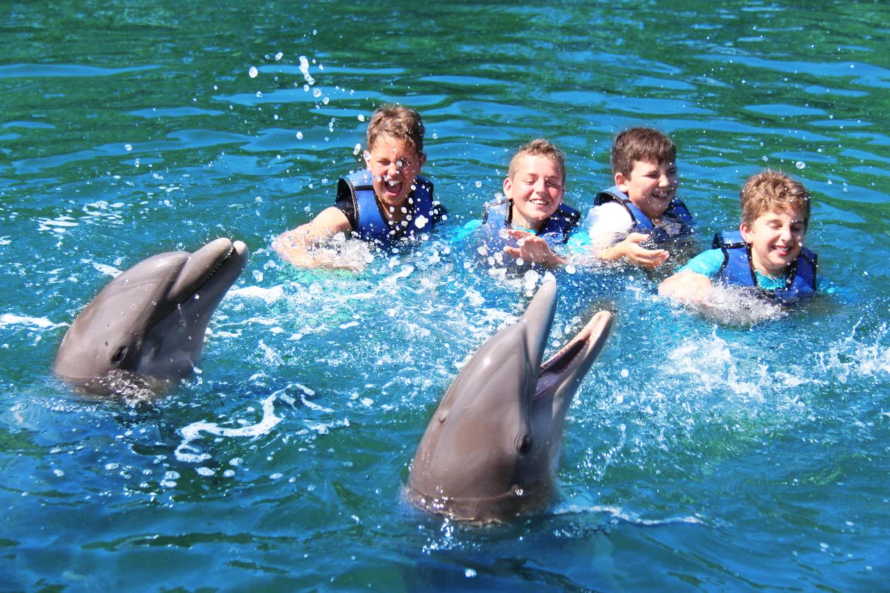 Swimming with Dolphins - Egypt tour magic