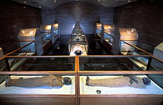 The Mummy Room A Glimpse into the Afterlife