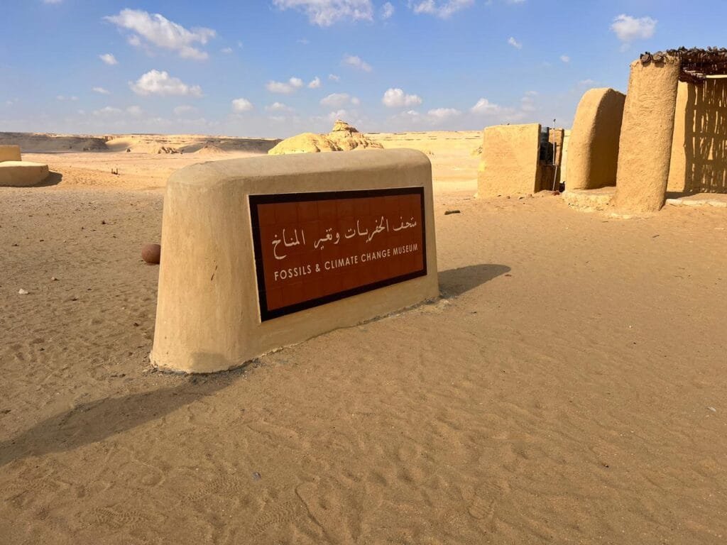 Wadi Al Hitan - Western Desert Climate Change Museum - El Fayoum