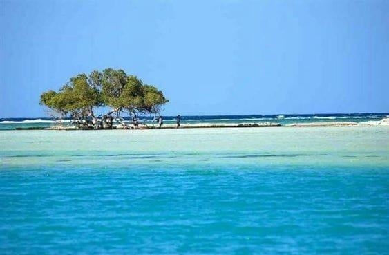 Marsa alam - Egypt tour magic