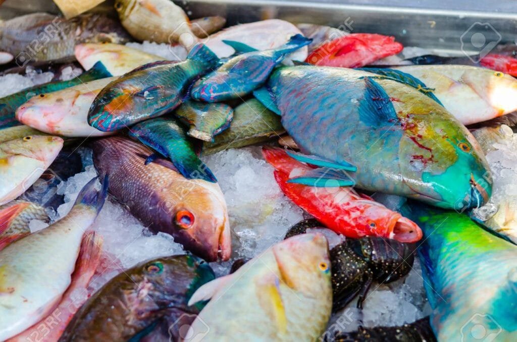 Fresh fish at the fish market in Hurghada. Egypt tour magic