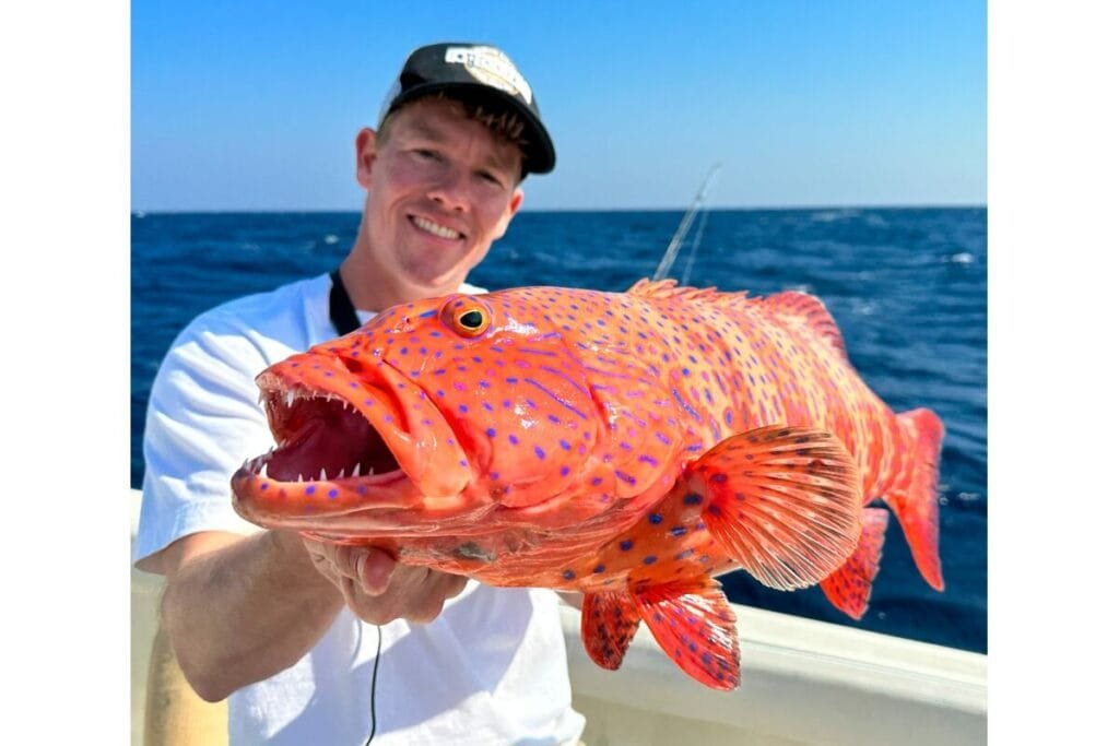 fishingin in the red sea