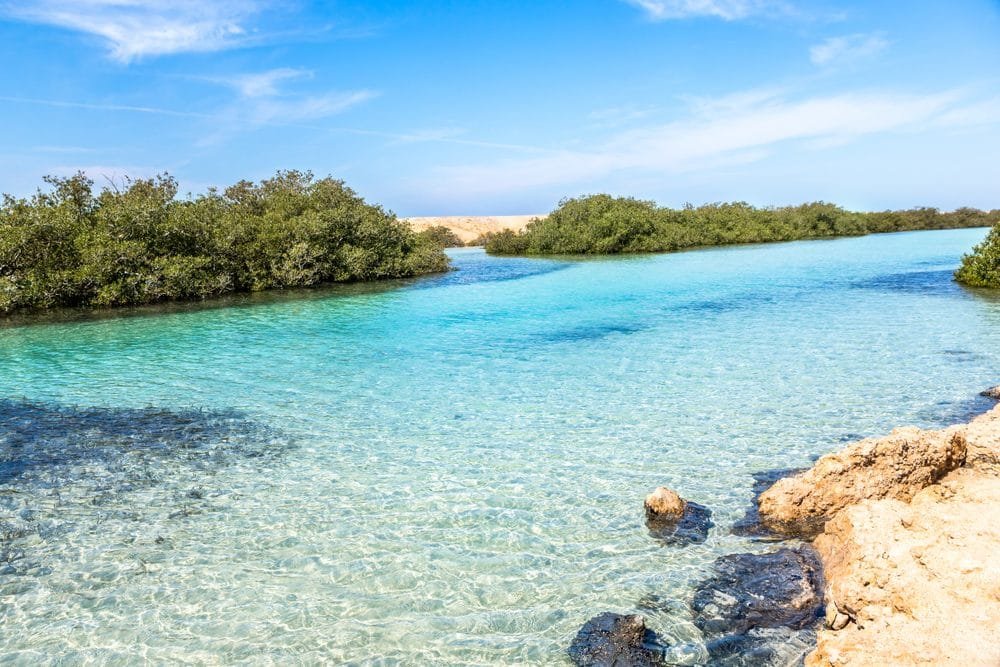 Ras Mohammed - Egypt tour magic