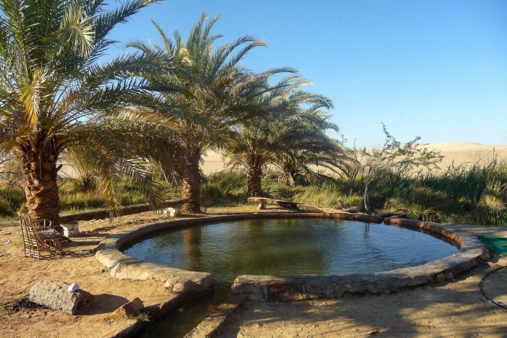 Ain kigner siwa with egypt tour magic
