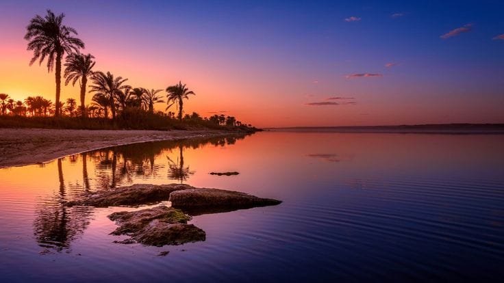 Lake Qarun 7