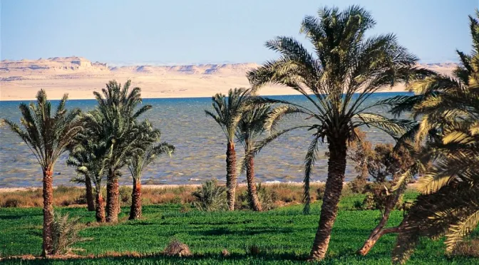 Lake Qarun - Egypt tour Maic