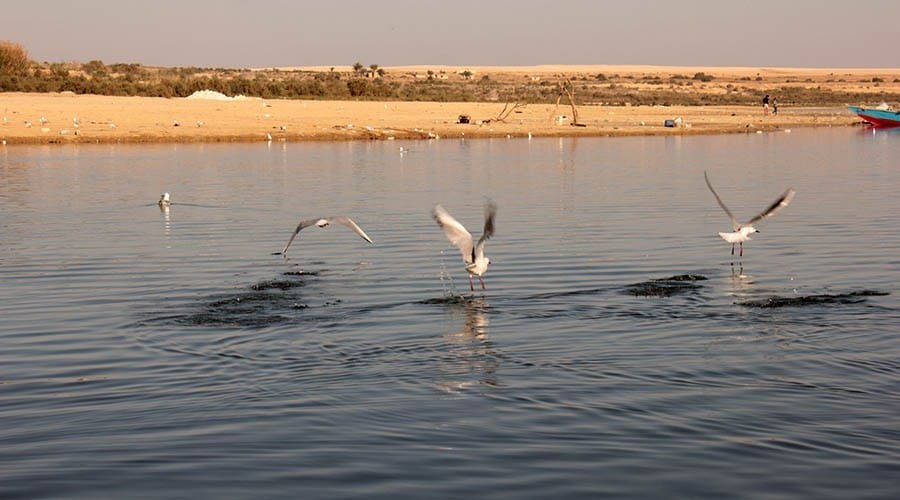Qarun Lake