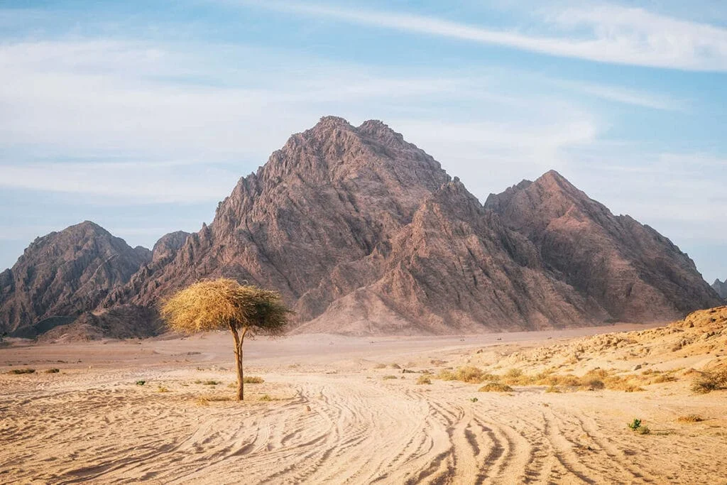 The Sinai Desert - Egypt tour magic