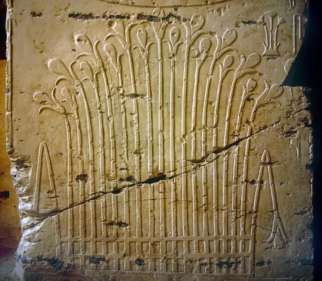 Tomb of Ramses II (KV7) - Egypt tour magic