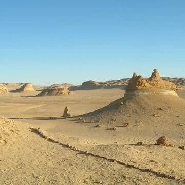 Wadi Al Hitan Valley of the Whales
