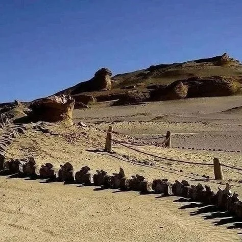 Wadi Al Hitan Valley of the Whales