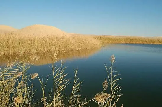 bir Wahed Siwa Oasis - Egypt tour Magic