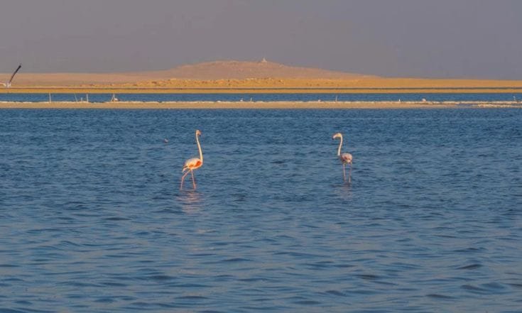 qaron lake - Egypt tour magic