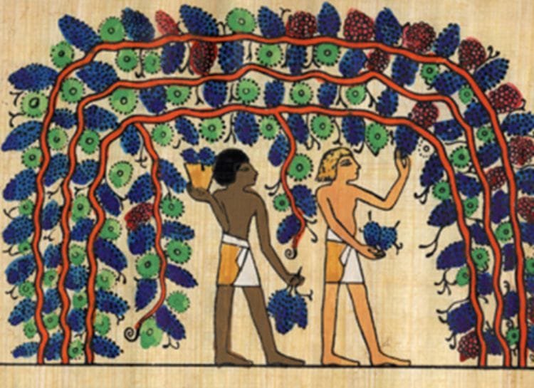 Ancient Egyptian Gardens - Egypt tour magic