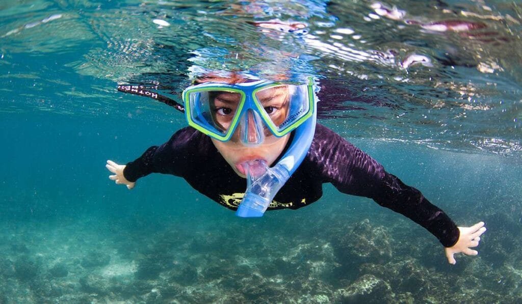 Snorkeling - egypt tour magic