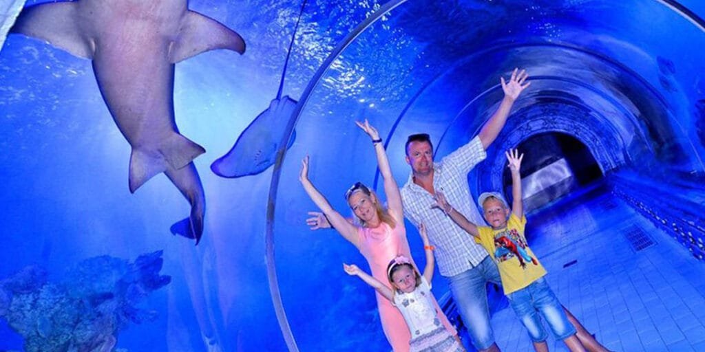 the Grand Aquarium