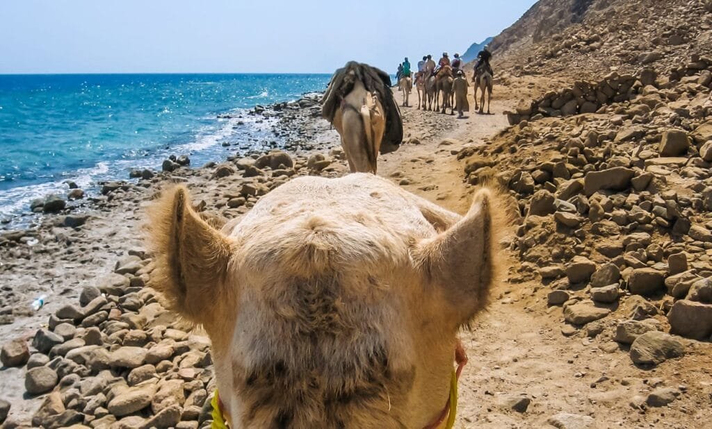 Ras Abu Galum-Egypt tour magic