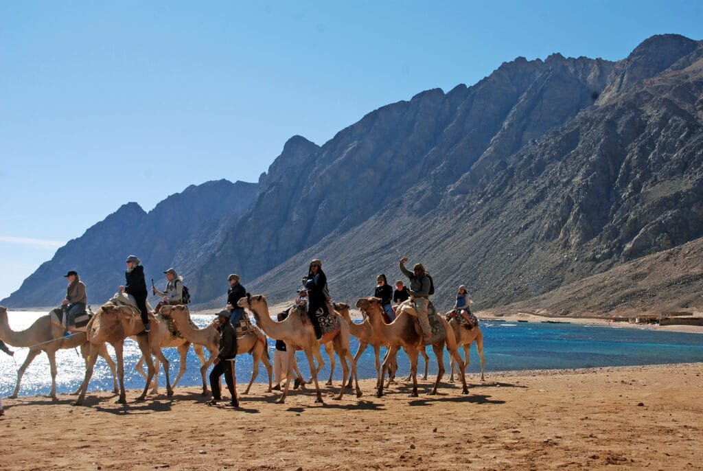 Safari Sharm El Sheikh - Egypt tour magic