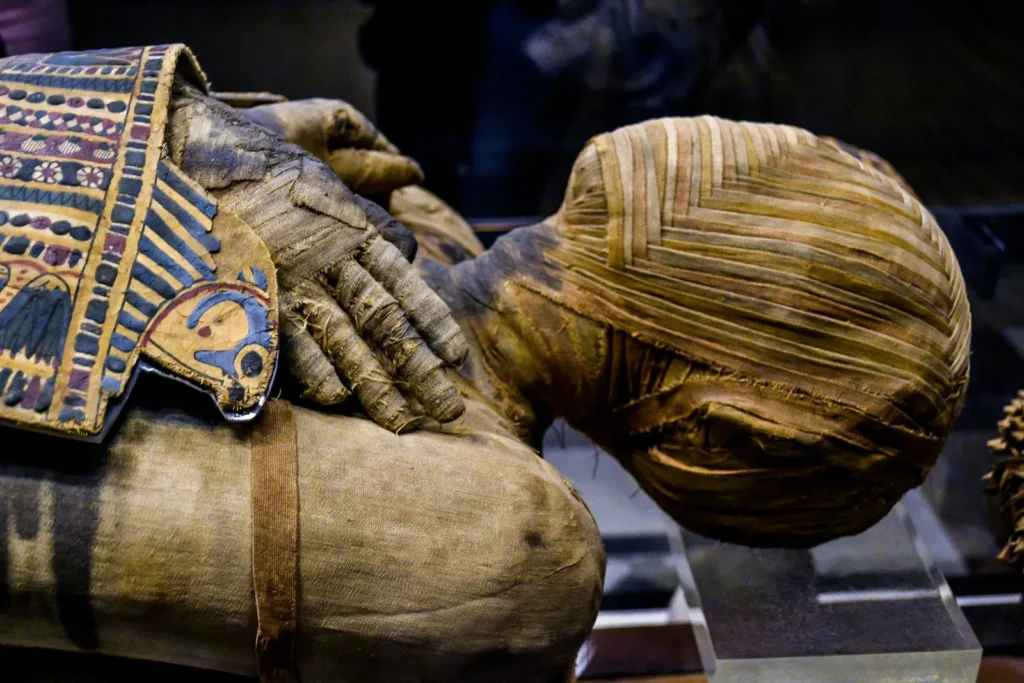 The Mummies of Ancient Egypt