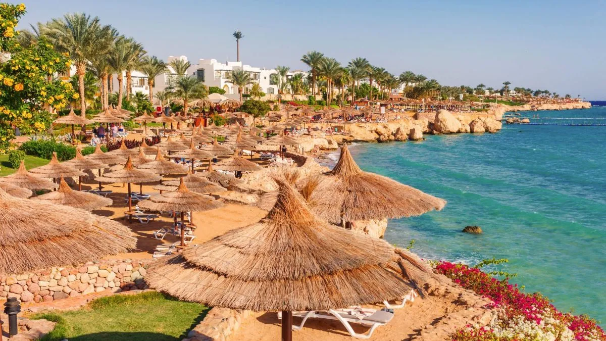 Top attractions in Makadi Bay in 2025
