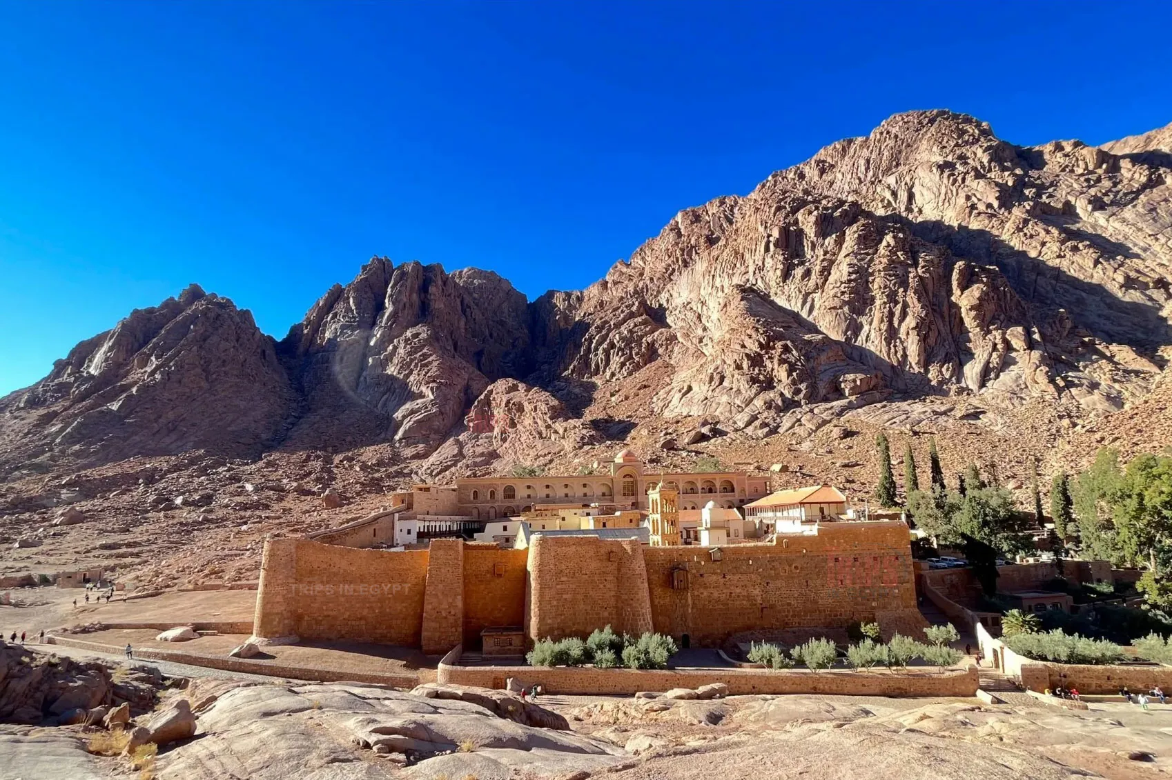the Monasteries of St. Catherine with Egypt tour magic