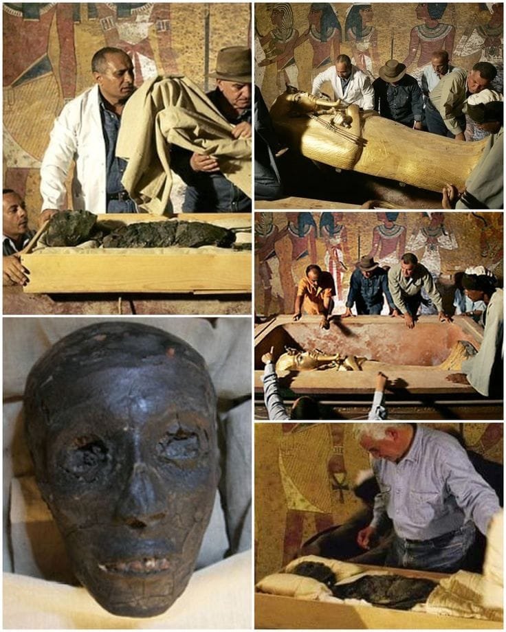 The Mummies of Ancient Egypt