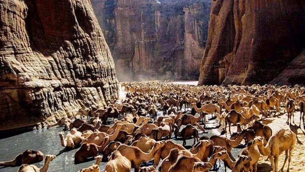 wadi el gemal-Egypt tour magic