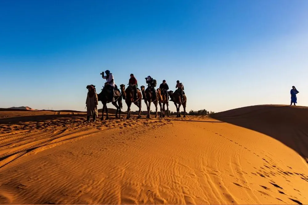 A Family-Friendly Adventure in the Desert