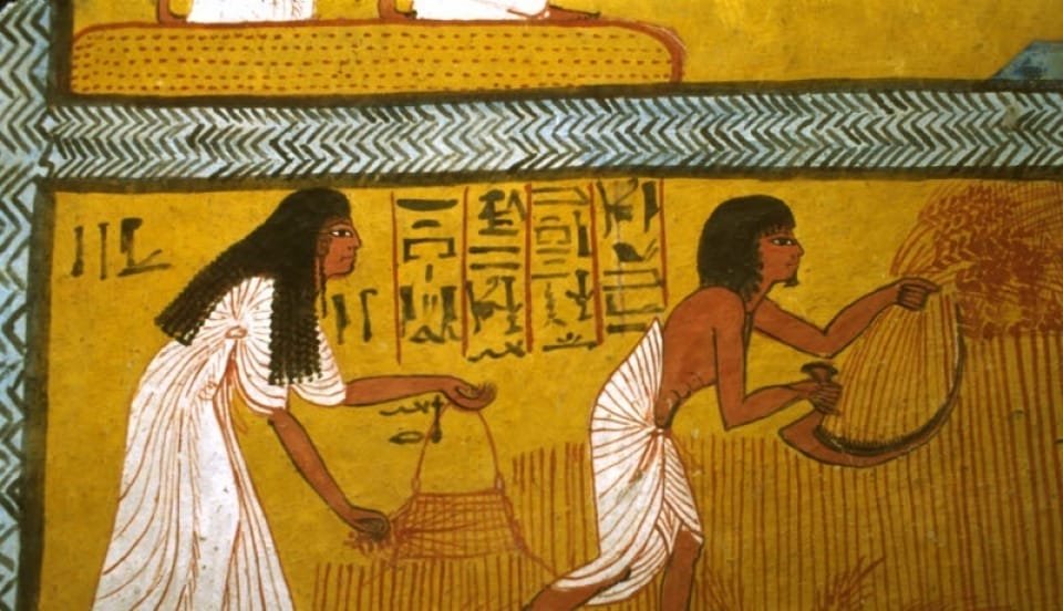 Agriculture and Irrigation - Egypt tour magic