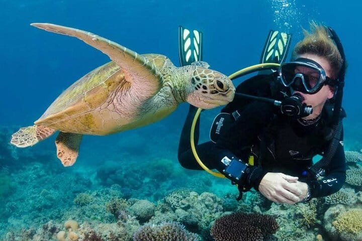 An Unforgettable Underwater Adventure in the Red Sea