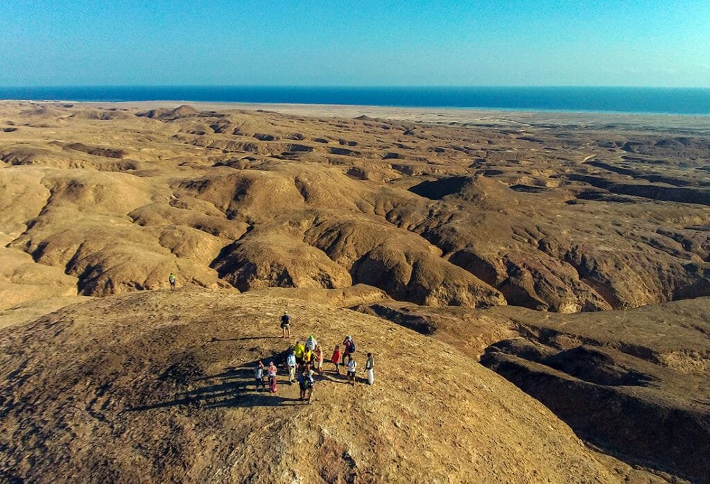 Discover the Secrets of the Desert