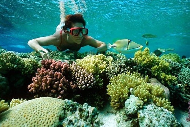 Eco-Friendly Snorkeling and Scuba Diving in the Red Sea