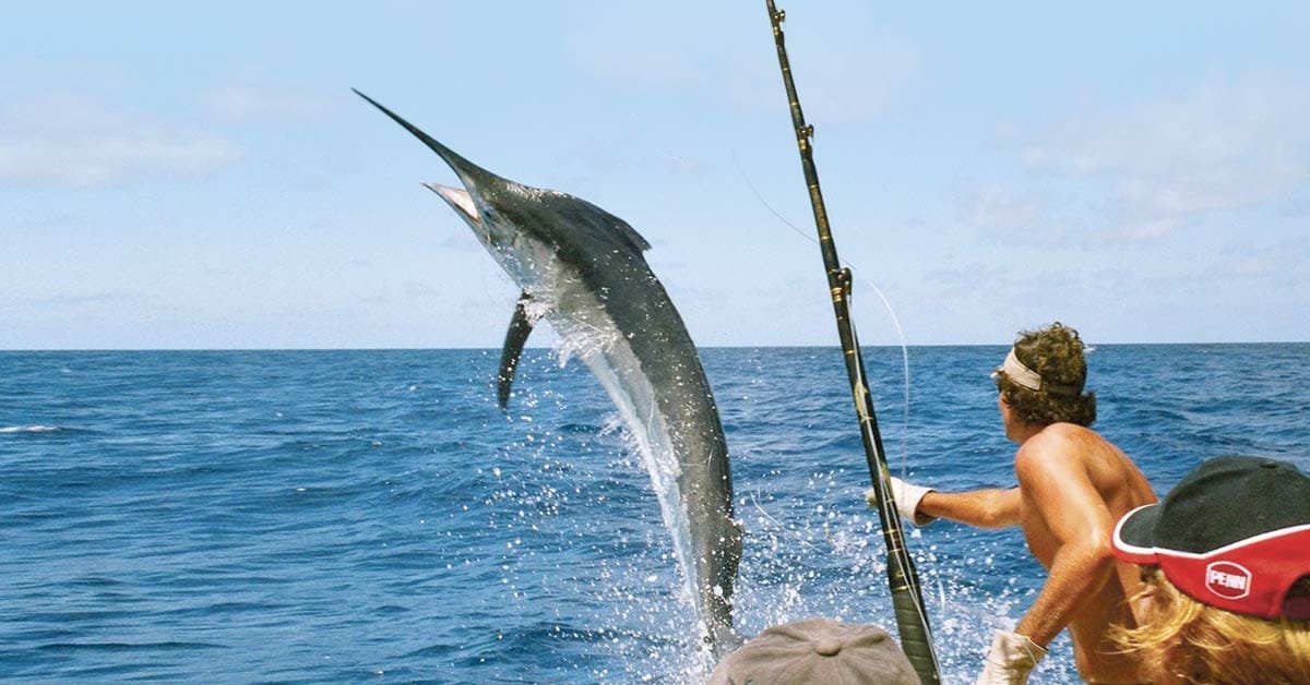 Fishing Tours in Egypt - Egypt tour magic