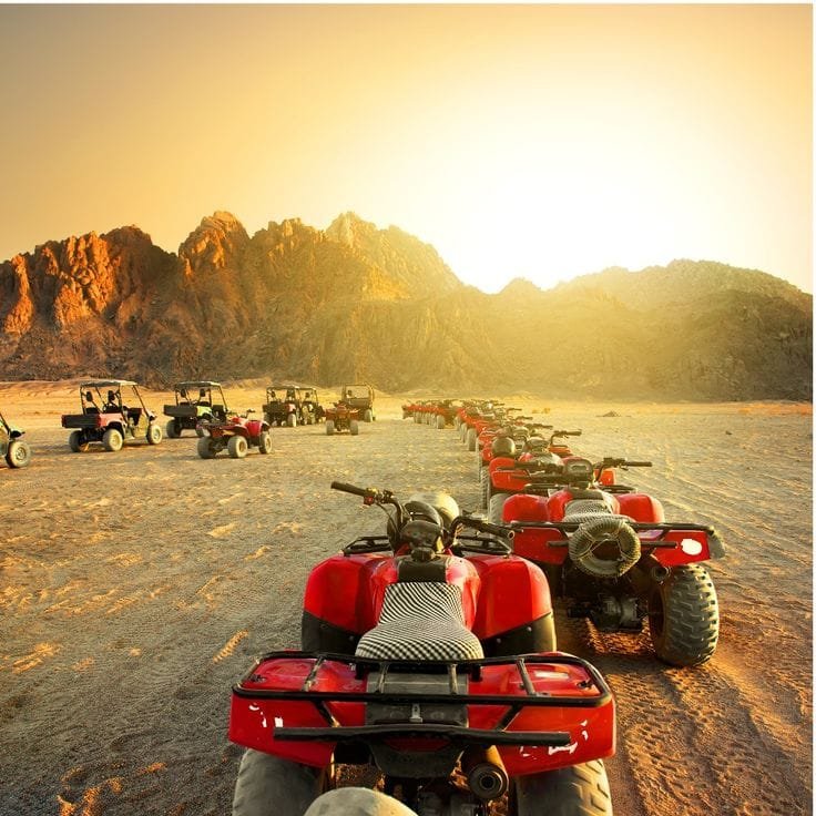 Safari Excursion - Egypt tour magic