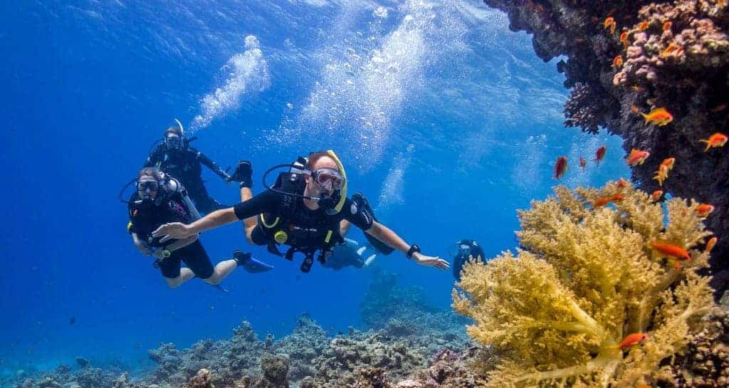 Snorkeling and Scuba Diving in the Red Sea - Egypt tour magic