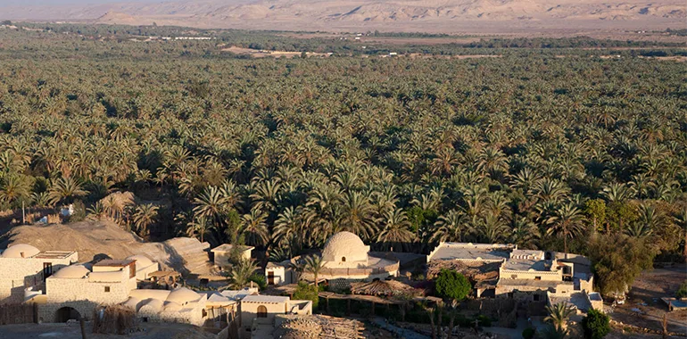 The Western Desert Natural Protection and Hidden Oases