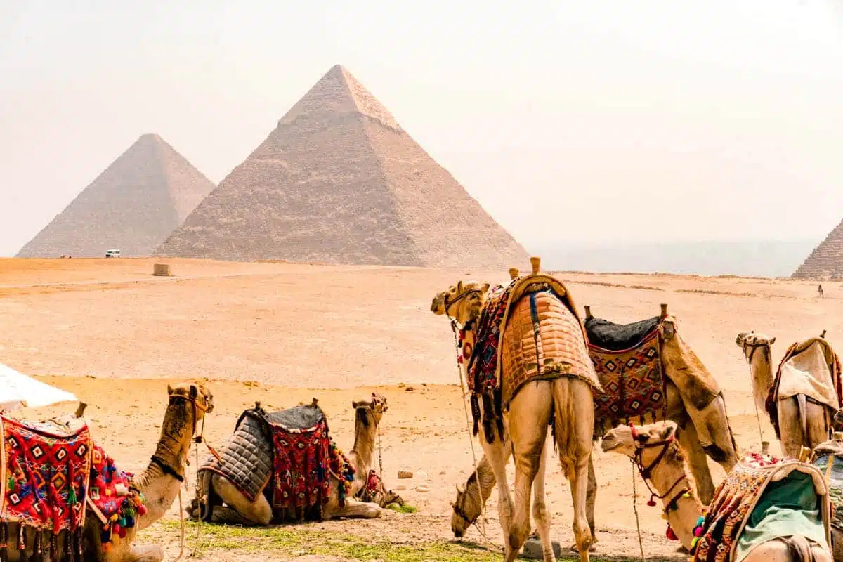 Top 30 Activities You Can't Miss in Egypt