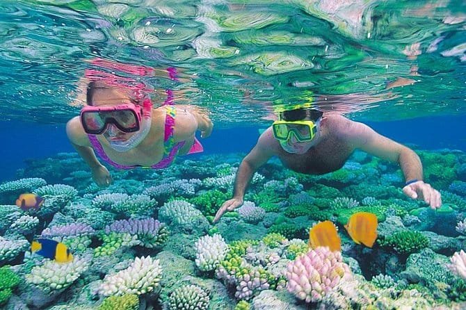 Top Snorkeling Spots in the Red Sea