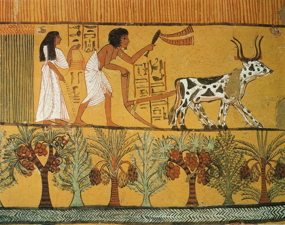 Living Like an Ancient Egyptian for a Day - Egypt tour magic